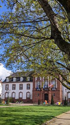 gp_6a4889e2cf317