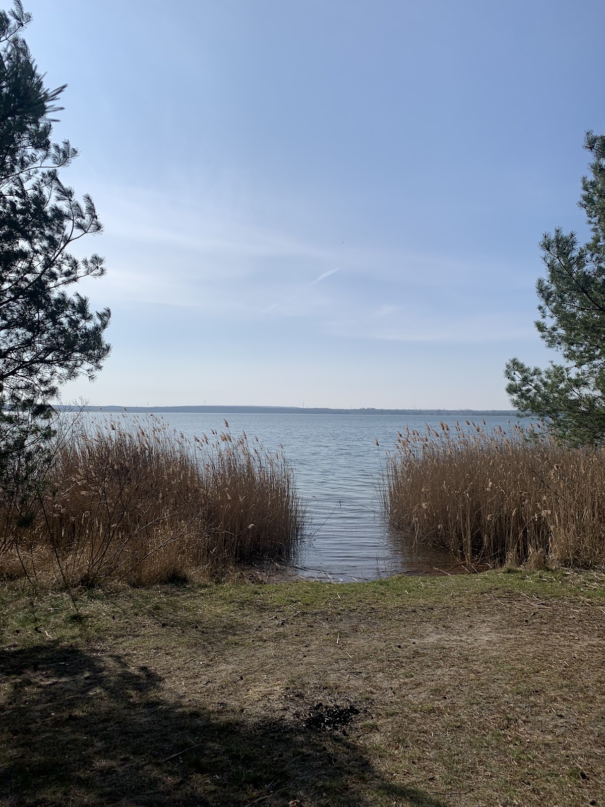 gp_6a4894e47989a